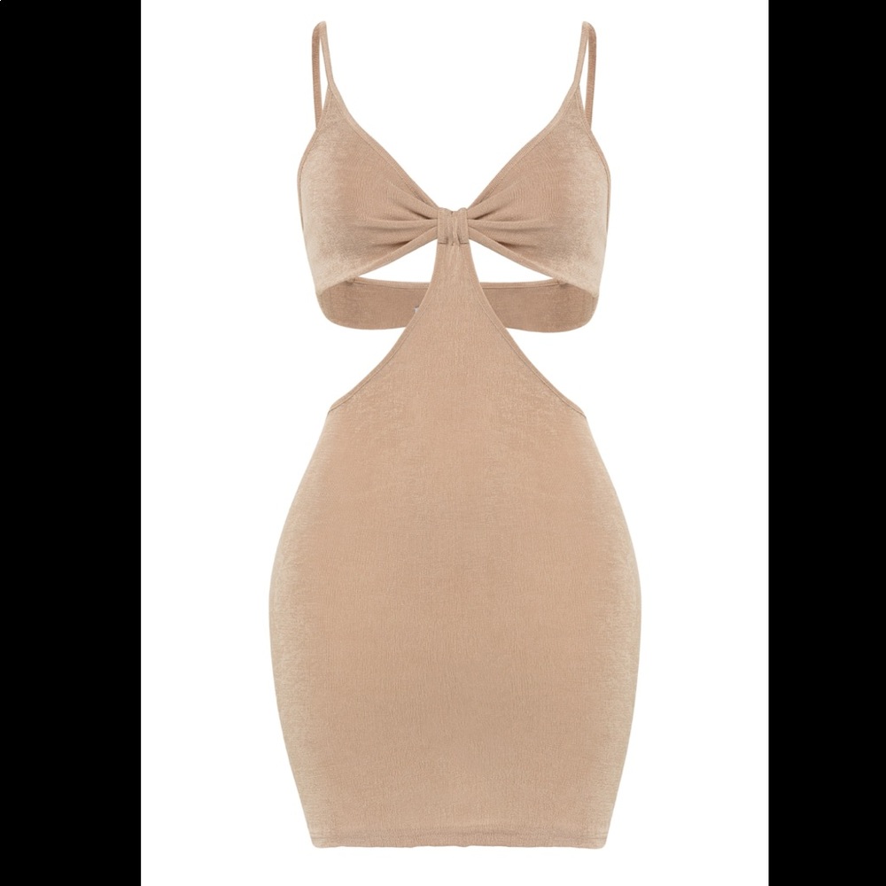 Tie-Front Cutout Mini Dress in Nude